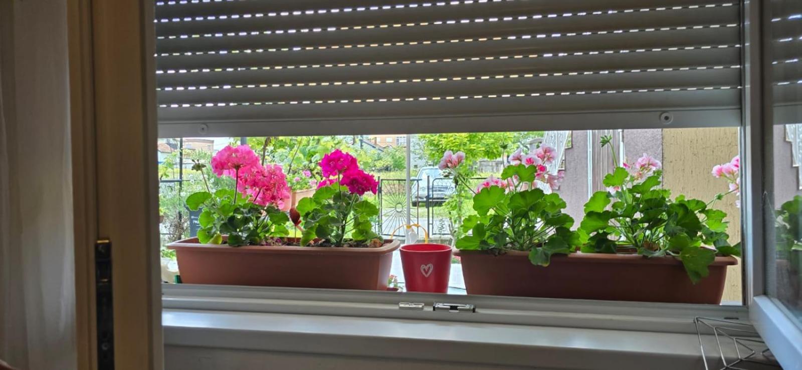 Apartman Tina Zagabria Esterno foto
